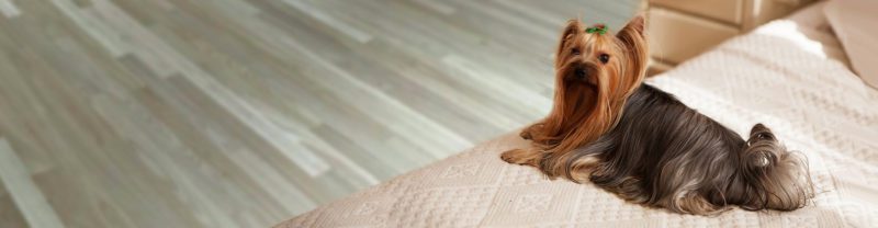 banner-013