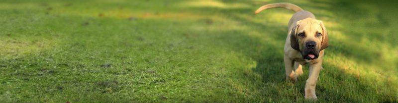 banner-015