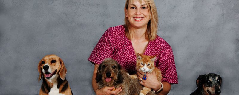 dr-karien-banner-cropped