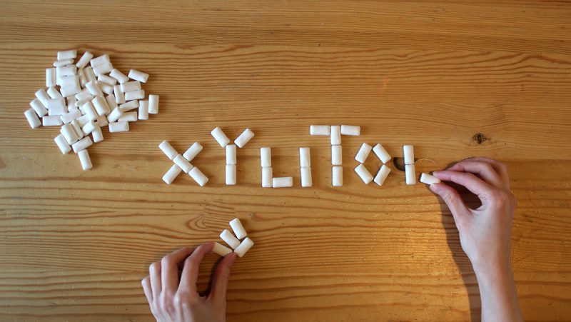 How much xylitol can kill a dog? Toxicities in pets