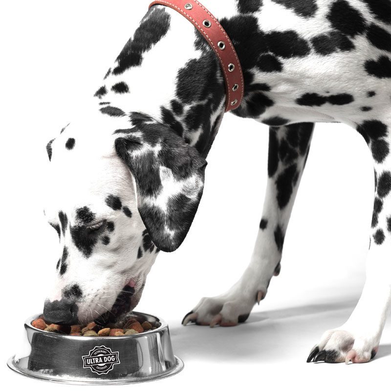 Premium Recipe Dog Food