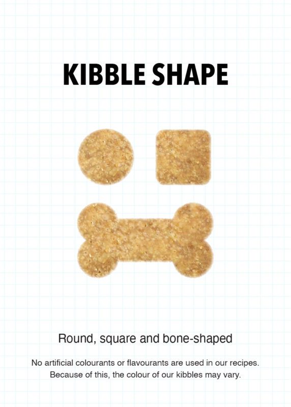 RCL - Ultra Pet | Kibble Shape round square and bone-shaped