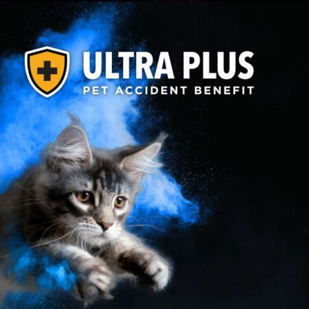 Ultra Plus Pet Accident Benefit