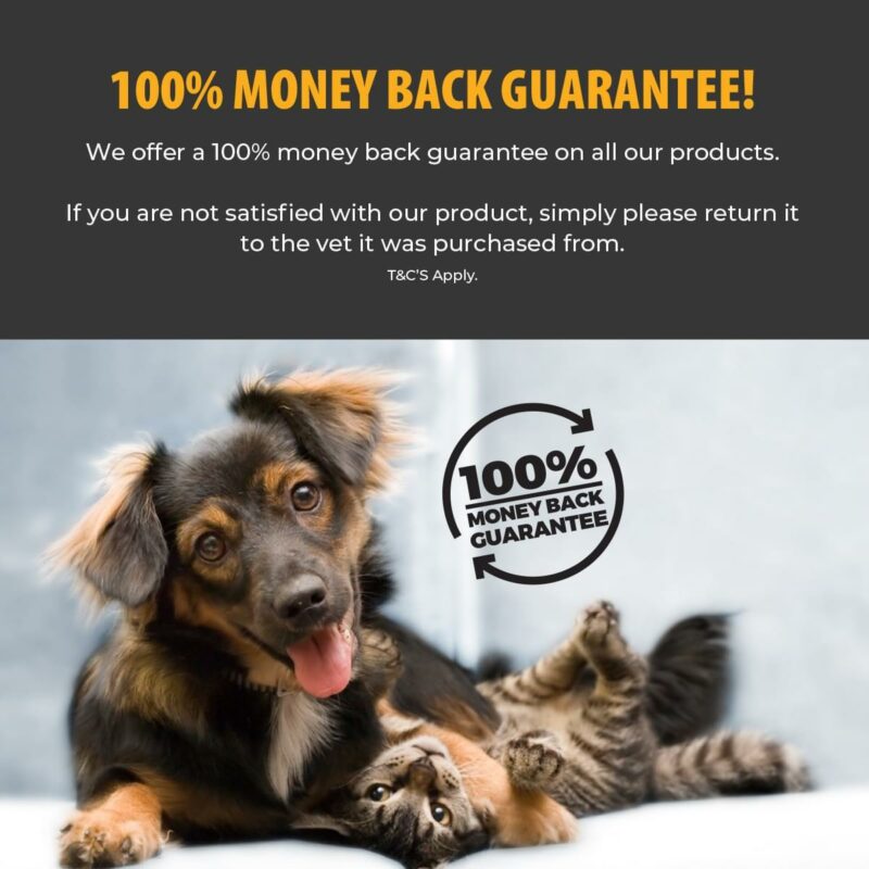Benefits of UltraPet pet food. One hundered percent money back guarantee, dog playing with cat
