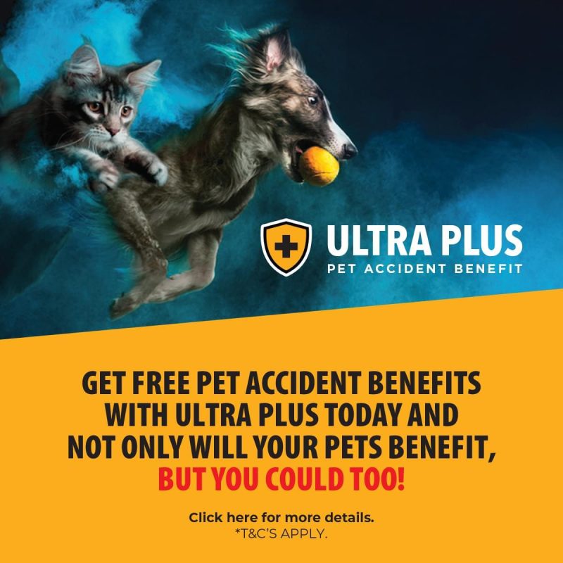 Free pet health cover