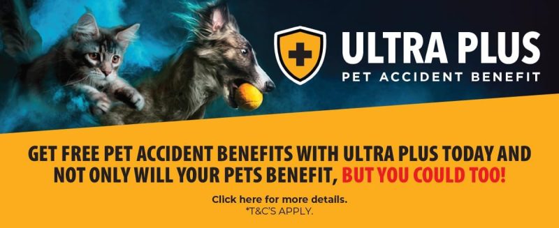 Pet health cover, Ultra Plus pet accident benefit with Ultra Pet pet food.
