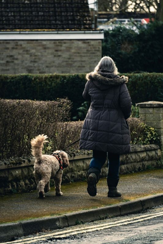 Walking dog in cold weather, exercise dog