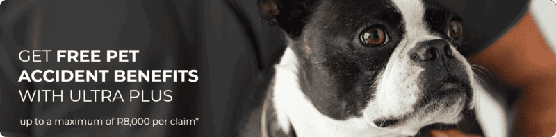 Get free pet accident benefits with Ultra Plus up to R8000 max per claim